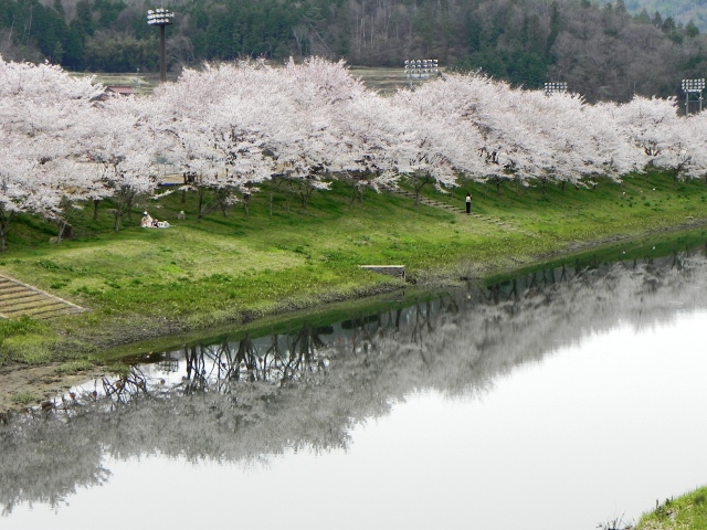 三原で花見_d0155582_1729863.jpg