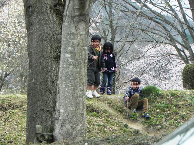 d0155582_17343797.jpg