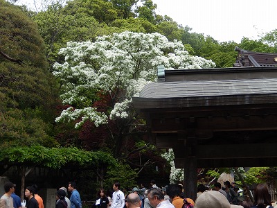 a0185783_2124863.jpg