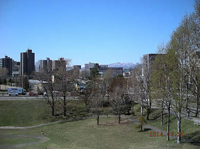 f0078286_8223555.jpg