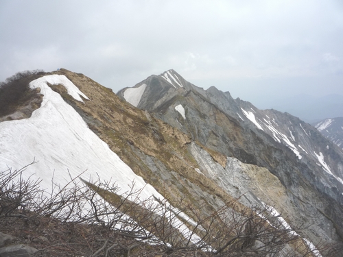 b0035391_14414731.jpg