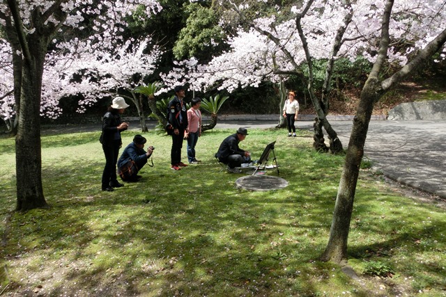 素敵な大学神戸女子学院大学で春の美しさ満喫、伝統ある大学の貴重な遺産観光資源として活用街づくり計画_d0181492_88313.jpg