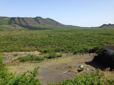f0138995_2325066.jpg