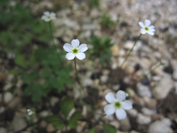 c0117898_22483986.jpg