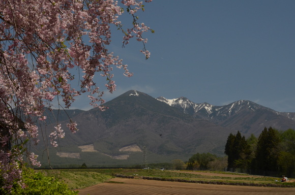 a0288500_15524076.jpg