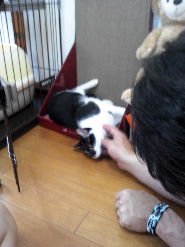 あさひな&かんな姉妹 新生活スタート!_f0242002_0292259.jpg