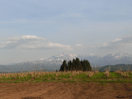 a0203003_21555659.jpg