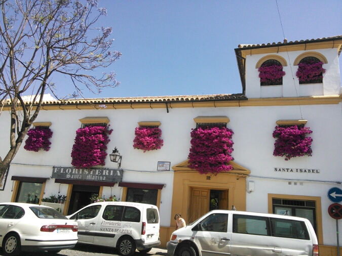 c0212604_184818.jpg