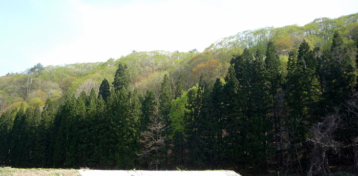 a0214206_22263623.jpg
