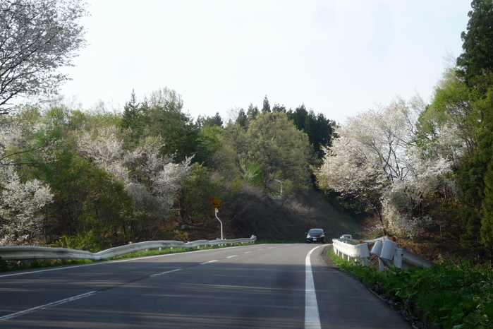 a0214206_23144667.jpg