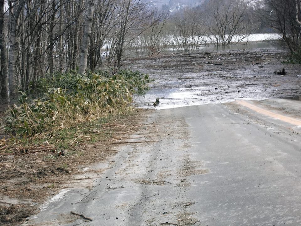 d0119909_1232211.jpg
