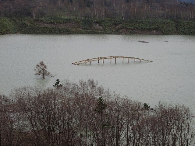 d0119909_1252141.jpg