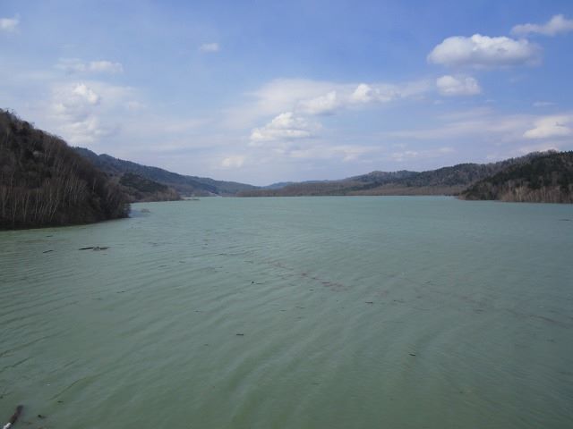 d0119909_125375.jpg