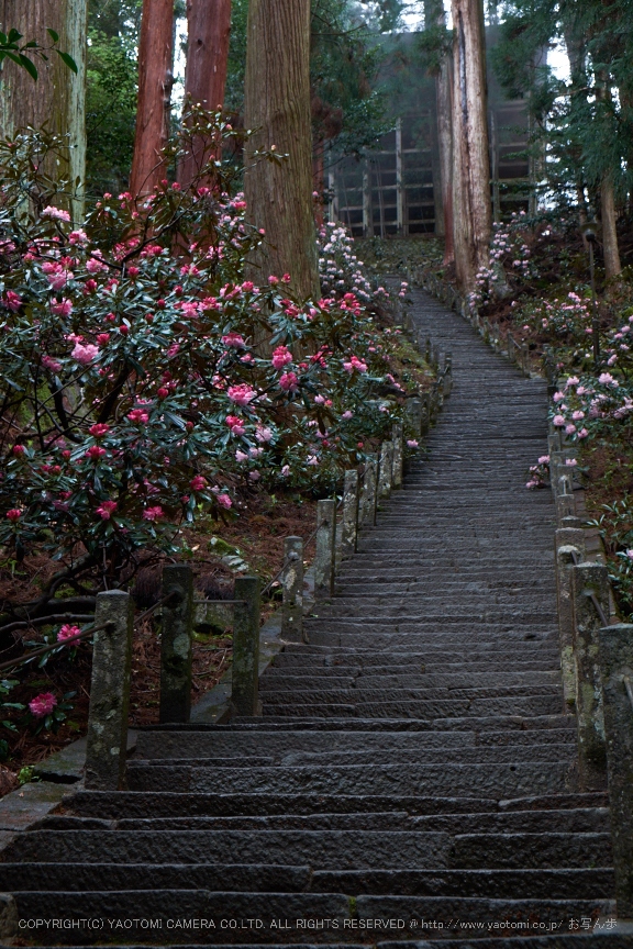 宇陀・室生寺_f0221510_18331986.jpg