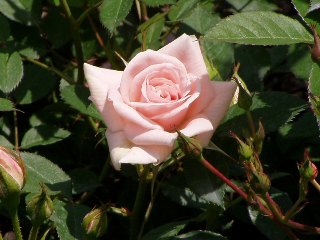 f0324510_22591804.jpg