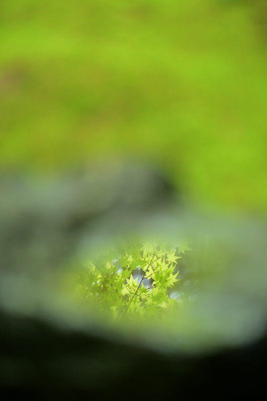 f0032011_16535248.jpg