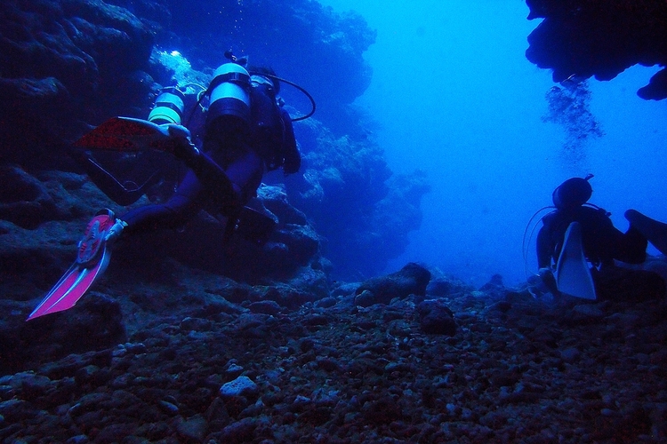 c0174913_1431287.jpg