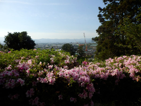 尊勝院 特別公開_e0048413_21324599.jpg