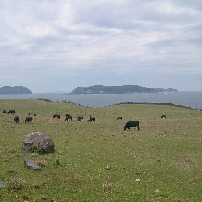 d0326314_2155360.jpg