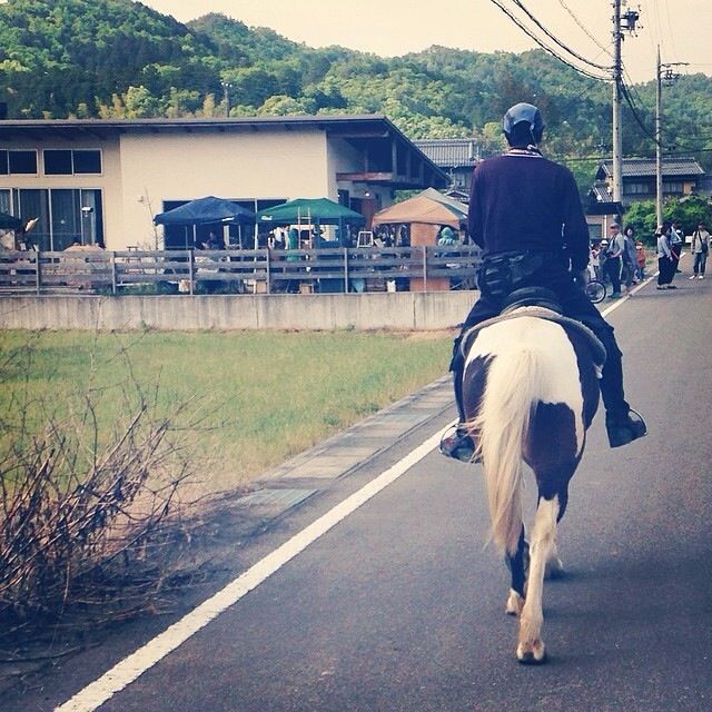 はながら蚤の市2014 ありがとうございました_b0241616_1147312.jpg