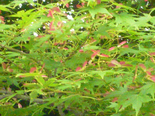 a0238019_21182946.jpg