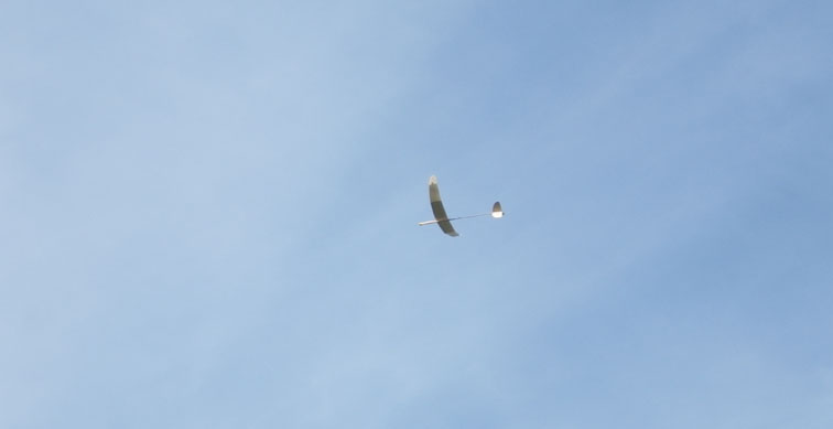 c0012819_2251430.jpg