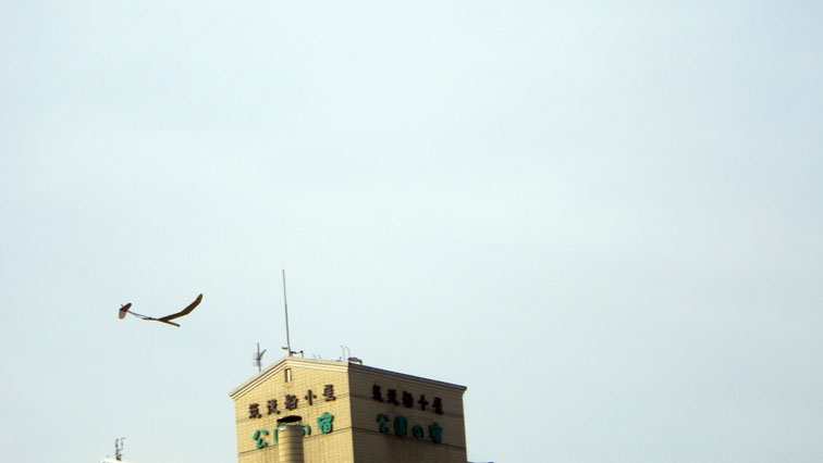 c0012819_2253827.jpg