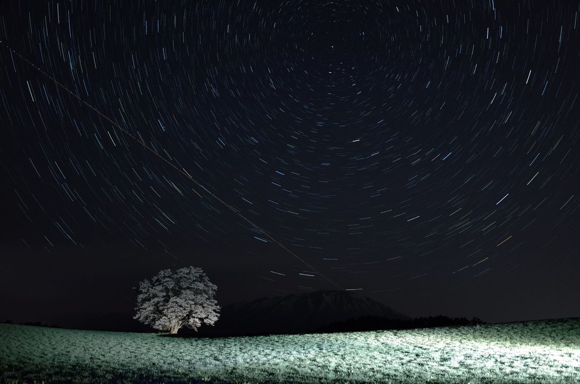 小岩井農場一本桜：星景写真・・・２０１４年春の東北紀行（その３