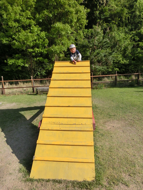 e0179321_9521537.jpg