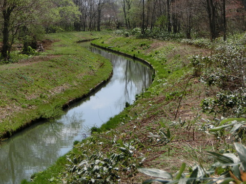 d0136122_19484176.jpg