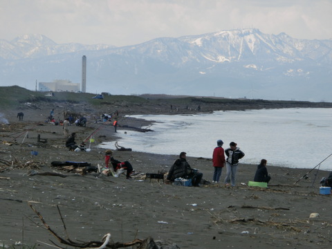 d0136122_194995.jpg