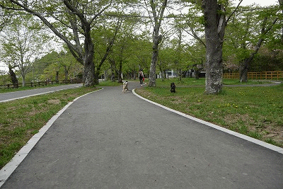 f0326925_22263613.gif