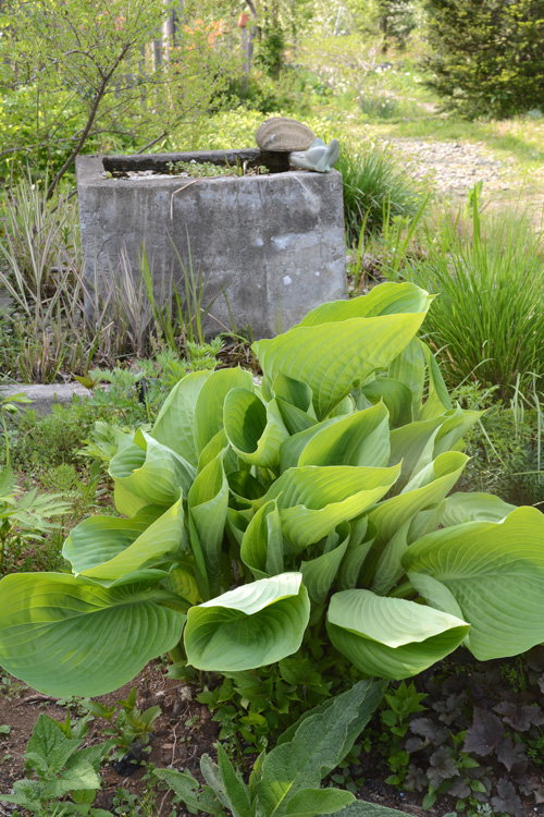 c0107129_19394642.jpg