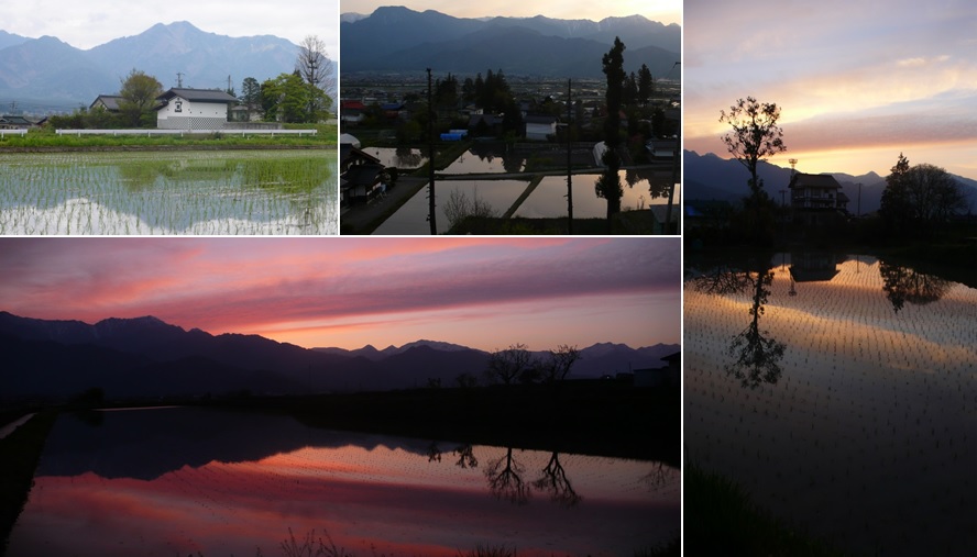 夕暮れの田んぼ_a0212730_20442295.jpg