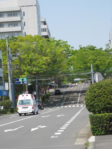 c0217931_17503496.jpg