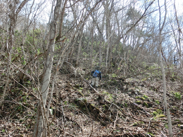 a0248232_17505339.jpg