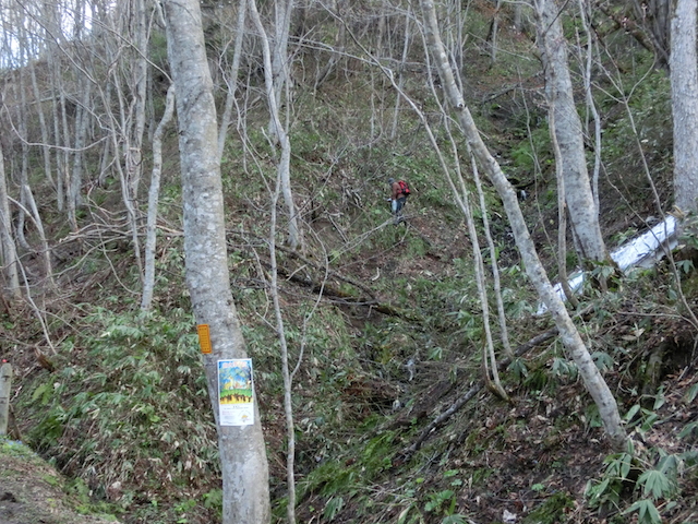 a0248232_17524954.jpg