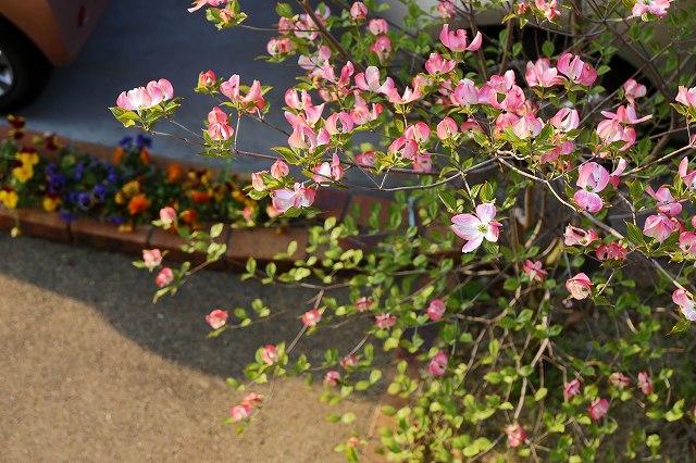 a0242438_1932979.jpg