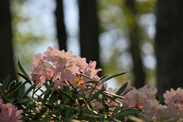 a0242438_19353230.jpg