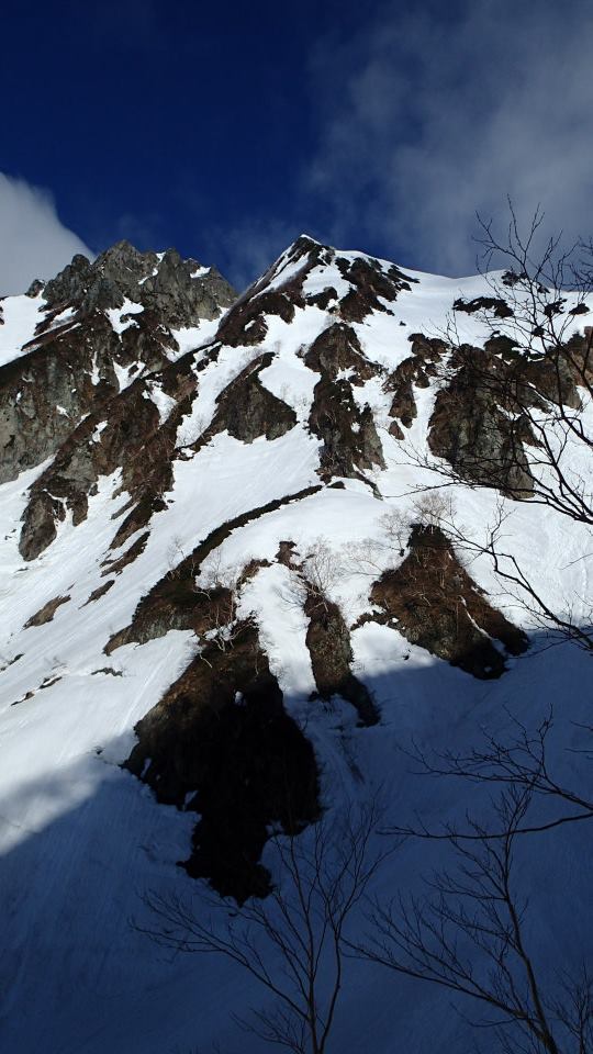 f0182938_11315832.jpg