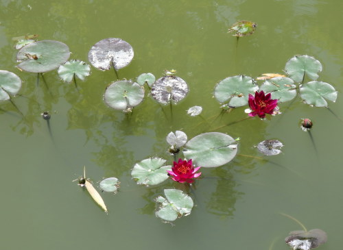 b0178339_23183657.jpg
