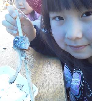 a0106341_1105981.jpg