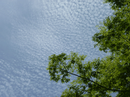c0225153_9222650.gif