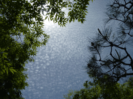c0225153_9234087.gif