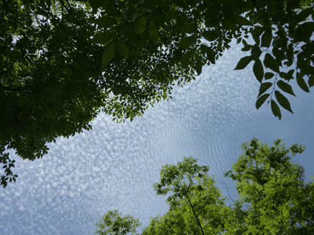 c0225153_923583.gif