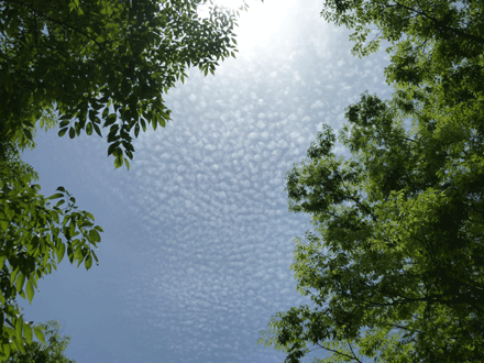 c0225153_9241945.gif
