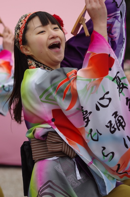 京都さくらよさこい２０１４一日目その１１（夢源風人その２）_a0009554_1311219.jpg