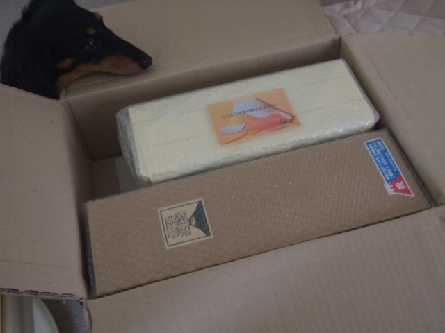 c0299657_21133450.jpg