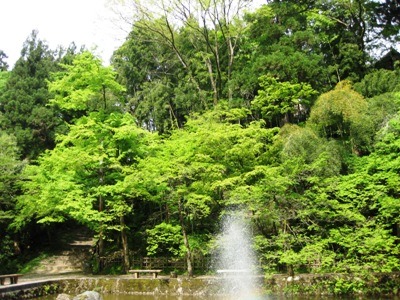 c0190960_9225018.jpg