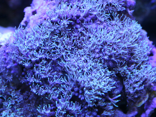 a0162261_1843220.jpg